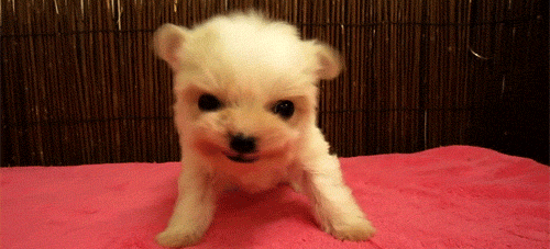 Name:  ZJnf80N.gif
Hits: 103
Gre:  499,2 KB
