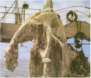 Name:  ihbah4.jpg
Hits: 69
Gr��e:  26,0 KB