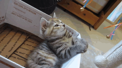 Name:  B8lgMvH.gif
Hits: 200
Gre:  1,99 MB