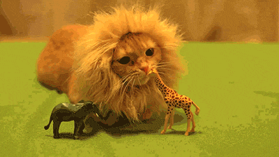 Name:  KChDSzN.gif
Hits: 141
Gre:  958,1 KB
