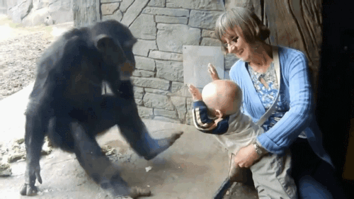 Name:  34.gif
Hits: 872
Gre:  637,1 KB