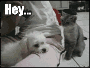 Name:  f46450599f1b.gif
Hits: 136
Gre:  1,77 MB