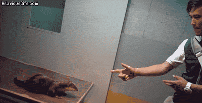 Name:  nzkiX1R.gif
Hits: 1607
Gr��e:  1,94 MB