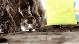 Name:  OGHpflB.gif
Hits: 109
Gre:  1,28 MB