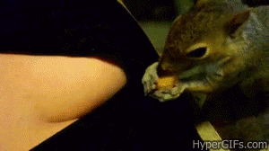 Name:  PAGVyOH.gif
Hits: 164
Gre:  1,10 MB