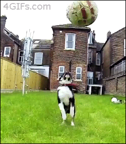 Name:  ScUozKh.gif
Hits: 107
Gre:  1,99 MB