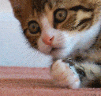 Name:  mp5RmrI.gif
Hits: 136
Gre:  1,28 MB