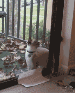 Name:  tumblr_n36coaCuJr1qdlh1io1_400.gif
Hits: 144
Gre:  2,00 MB