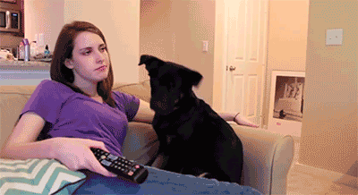 Name:  UKrwK3x.gif
Hits: 116
Gre:  1,05 MB