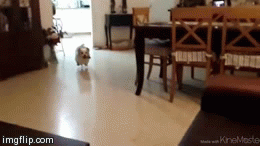 Name:  z2H3P6A.gif
Hits: 168
Gre:  1,21 MB