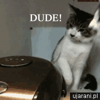 Name:  4cf19af6462203e2.gif
Hits: 120
Gre:  1,35 MB