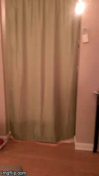 Name:  kadse-waaaahhhhhhh.gif
Hits: 114
Gre:  1,59 MB