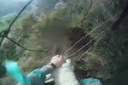 Name:  hk56XuB.gif
Hits: 223
Gre:  1,47 MB