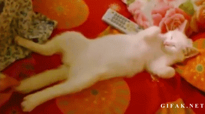 Name:  oRuwXih.gif
Hits: 233
Gre:  2,00 MB