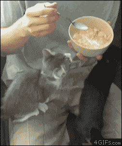 Name:  ovuBSRJ.gif
Hits: 201
Gre:  1.023,0 KB