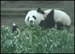Name:  odv2OFp.gif
Hits: 196
Gre:  498,1 KB