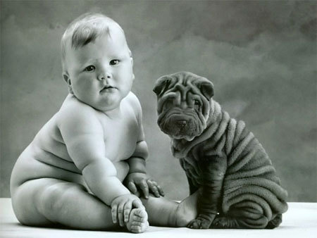 Name:  cute-puppiy-baby.jpg
Hits: 240
Gre:  38,5 KB