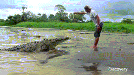 Name:  otYwNKE.gif
Hits: 230
Gre:  1,96 MB
