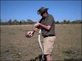 Name:  ajWkHY1.gif
Hits: 336
Gre:  1,96 MB