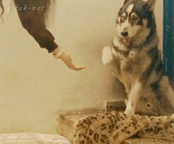 Name:  cw9CdCm.gif
Hits: 337
Gre:  2,00 MB