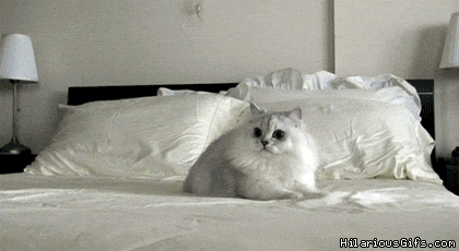 Name:  NGjC2.gif
Hits: 255
Gre:  1,81 MB