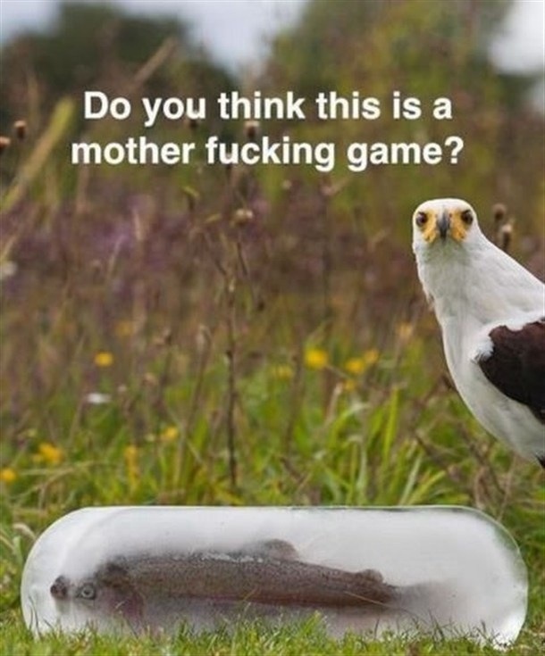 Name:  NBirrOd.jpg
Hits: 232
Gre:  93,2 KB