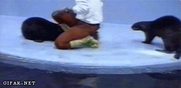 Name:  tumblr_n7iwpehhZg1s2yegdo1_400.gif
Hits: 152
Gre:  2,00 MB