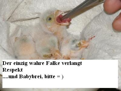 Name:  klf2.JPG
Hits: 175
Gre:  18,2 KB