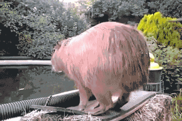 Name:  eg4ylJm.gif
Hits: 207
Gre:  1,75 MB