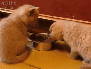 Name:  mbJYWWw.gif
Hits: 210
Gre:  2,00 MB