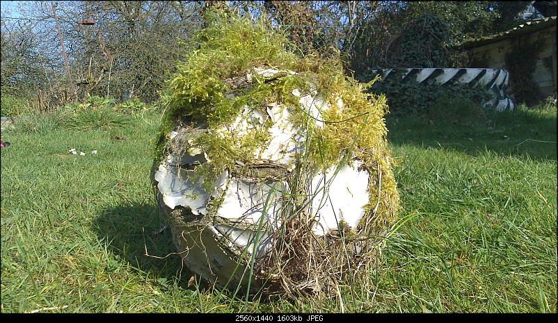 Klicken Sie auf die Grafik fr eine grere Ansicht 

Name:	bild 2.jpg 
Hits:	847 
Gre:	1,57 MB 
ID:	14082