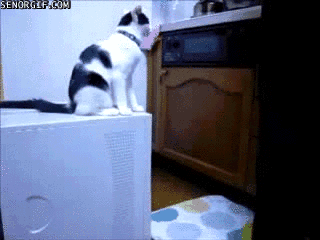 Name:  LNYurjT.gif
Hits: 200
Gre:  1,91 MB
