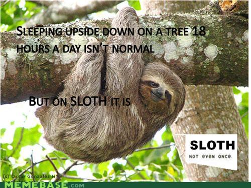 Name:  memes-sloth-not-even-once.jpg
Hits: 76
Gre:  52,6 KB