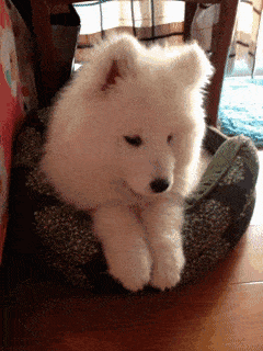 Name:  V5b6S9O.gif
Hits: 112
Gre:  1,34 MB
