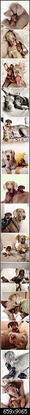 Klicken Sie auf die Grafik fr eine grere Ansicht 

Name:	ab5jQWL_700b.jpg 
Hits:	122 
Gre:	1,11 MB 
ID:	14309