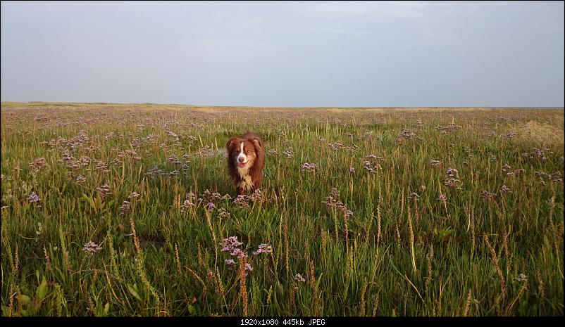 Klicken Sie auf die Grafik f�r eine gr��ere Ansicht&nbsp;

Name:	DSC_0149.JPG&nbsp;
Hits:	504&nbsp;
Gr��e:	445,2 KB&nbsp;
ID:	14330