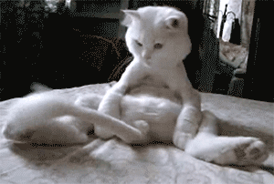 Name:  y47fOmE.gif
Hits: 165
Gre:  1,32 MB