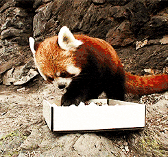 Name:  X6wWnNp.gif
Hits: 140
Gre:  1,20 MB