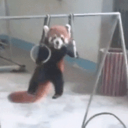 Name:  z0m813-128.gif
Hits: 130
Gre:  1,24 MB