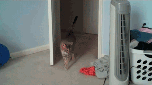 Name:  ntRvsbL.gif
Hits: 109
Gre:  933,2 KB