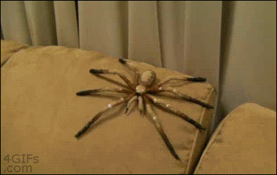 Name:  XPEnqhi.gif
Hits: 123
Gre:  1,99 MB