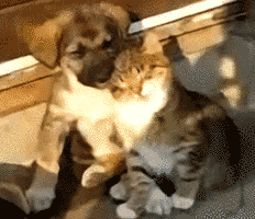 Name:  eoCJDrF.gif
Hits: 130
Gre:  1,86 MB