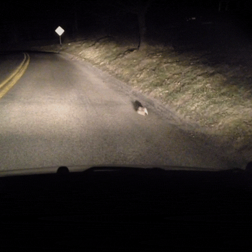 Name:  GtxhJh0.gif
Hits: 156
Gre:  954,3 KB
