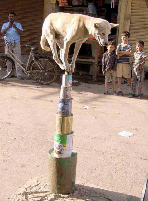 Name:  tvy3gf1.jpg
Hits: 132
Gre:  132,9 KB