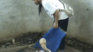 Name:  sIiWZy2.gif
Hits: 137
Gre:  1,64 MB