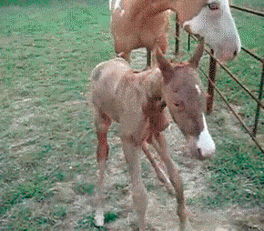 Name:  G8LhpHJ.gif
Hits: 198
Gre:  1,87 MB