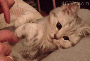 Name:  nJA7BFP.gif
Hits: 179
Gre:  1,99 MB