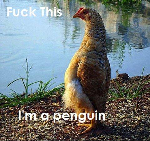 Name:  BCfnMSG.jpg
Hits: 126
Gre:  56,8 KB