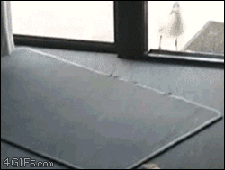 Name:  edeu1aM.gif
Hits: 168
Gre:  1,99 MB