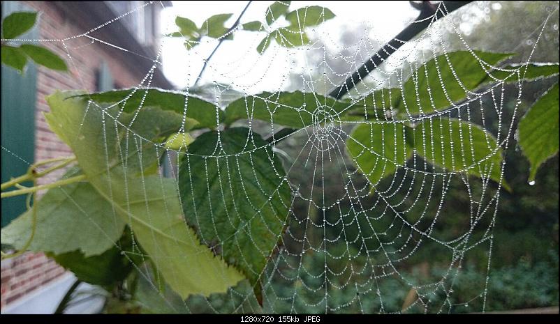 Klicken Sie auf die Grafik f�r eine gr��ere Ansicht&nbsp;

Name:	Bild03.JPG&nbsp;
Hits:	920&nbsp;
Gr��e:	155,2 KB&nbsp;
ID:	14588